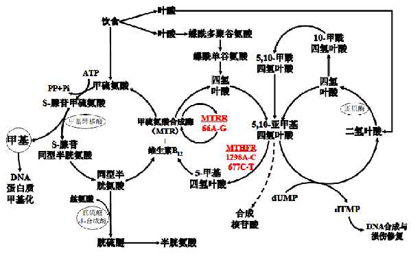 w88winŵ(й)޹˾