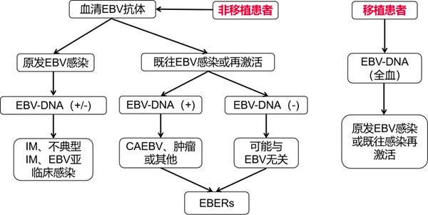 w88winŵ(й)޹˾
